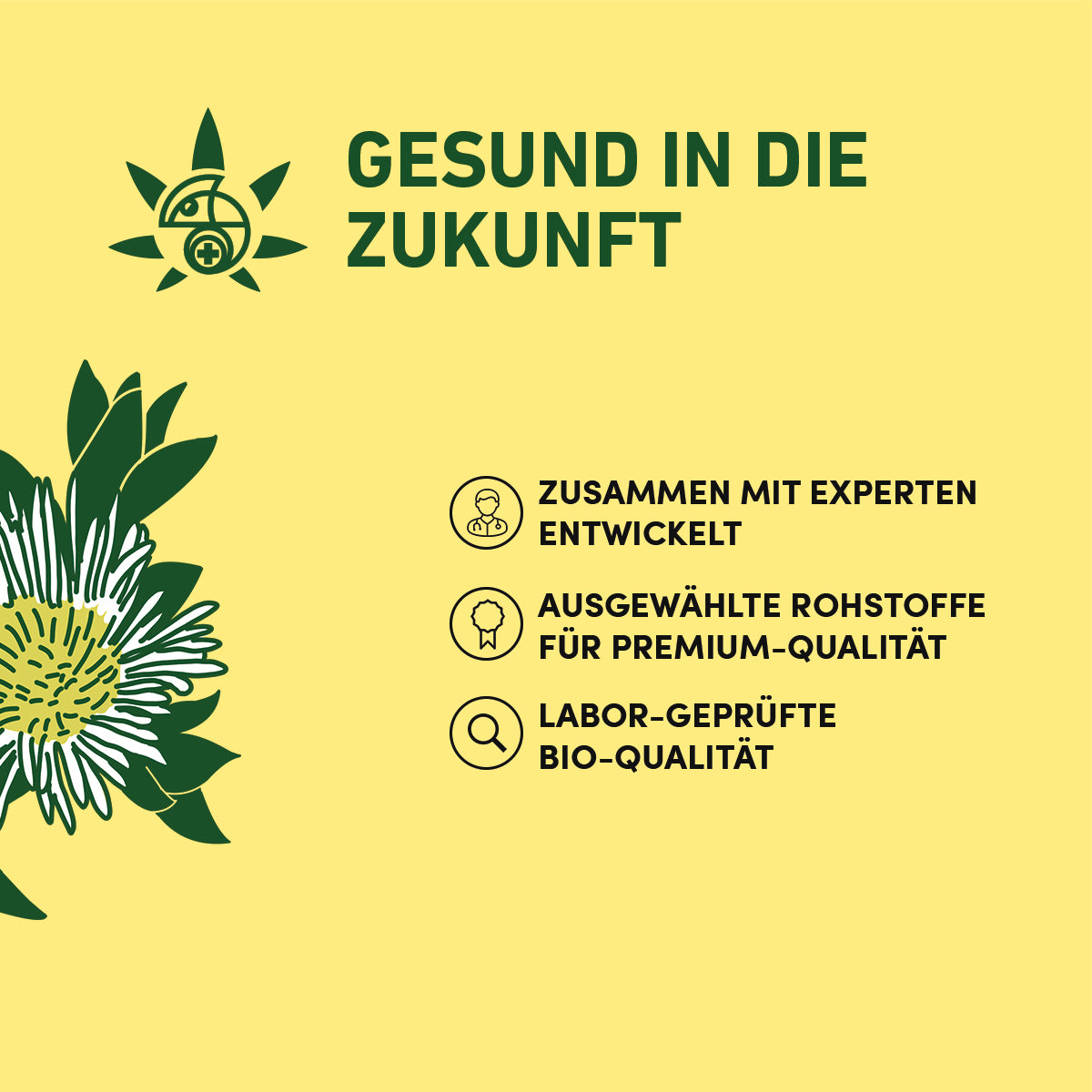 Kanna – Räucherwerk aus den Weiten Südafrikas