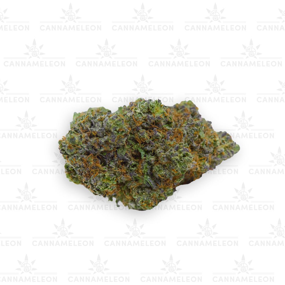 Blue Dream CBD - Cannameleon GmbH