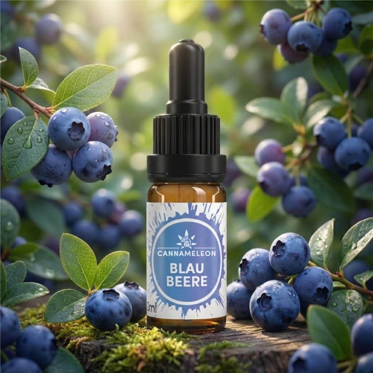 CBD Öl Blaubeere 10% - Cannameleon GmbH