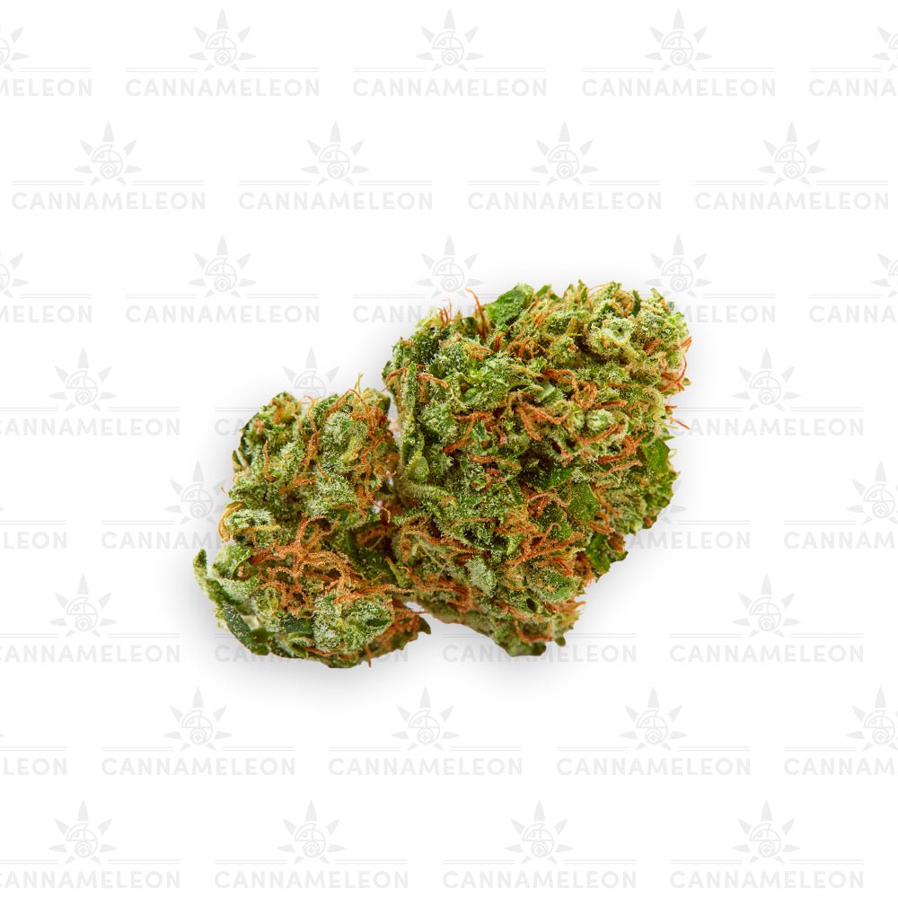 Clementine CBG - Cannameleon GmbH