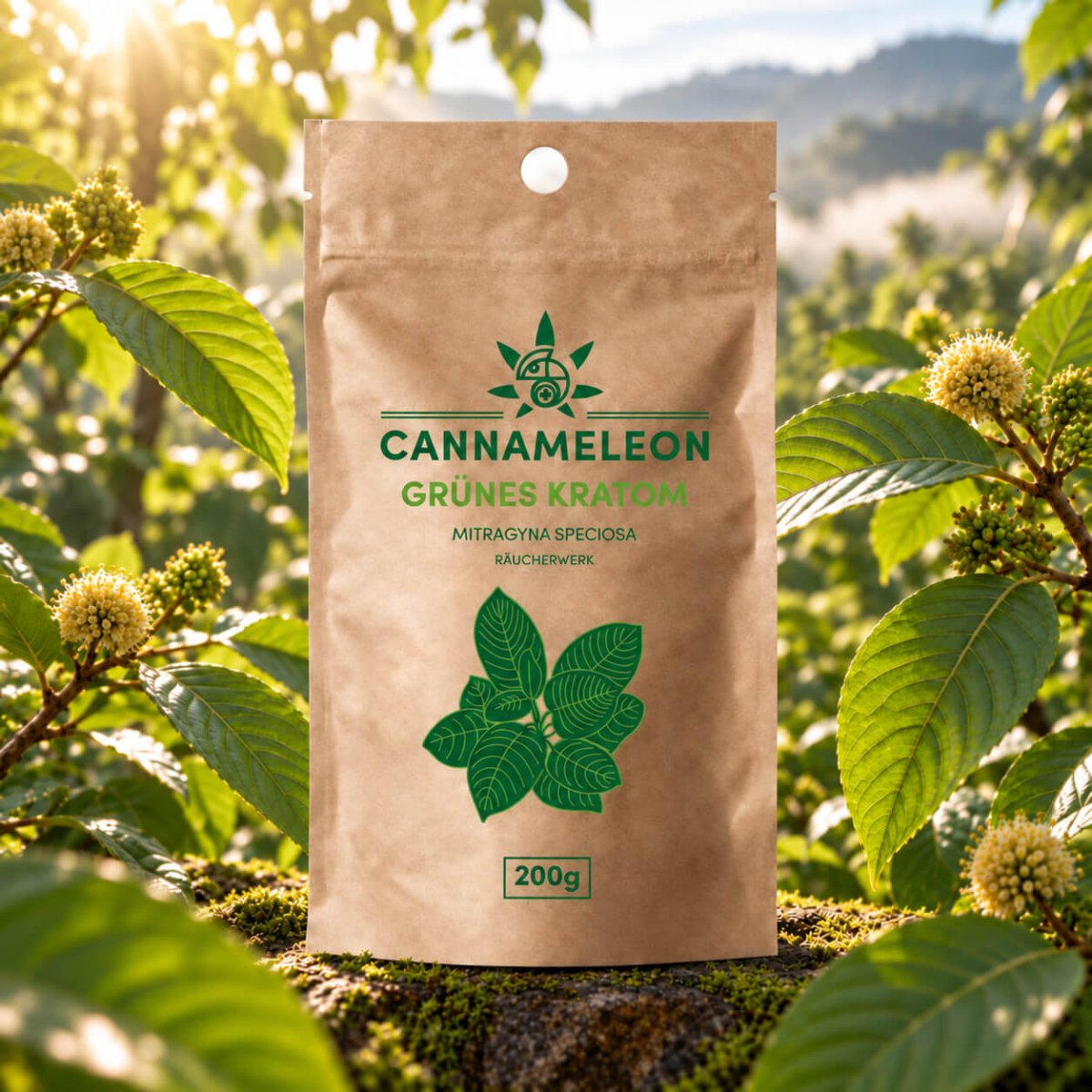 CM - Grünes Kratom 200g - Cannasolution GmbH