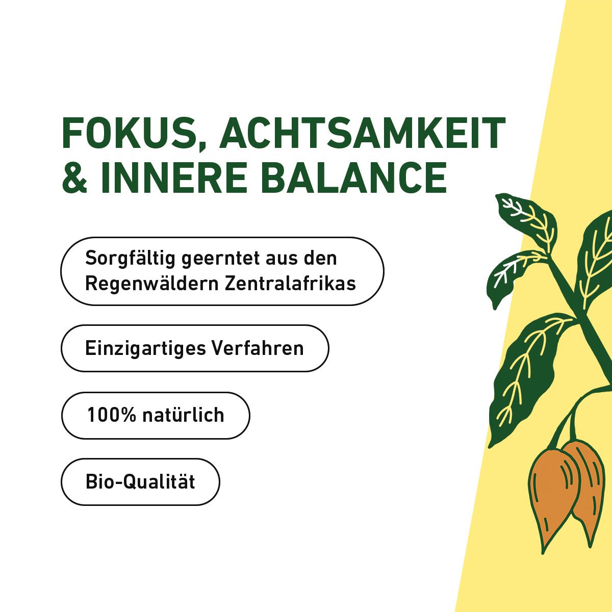 Iboga Pulver – Räucherwerk aus den Regenwäldern Afrikas - Cannameleon GmbH