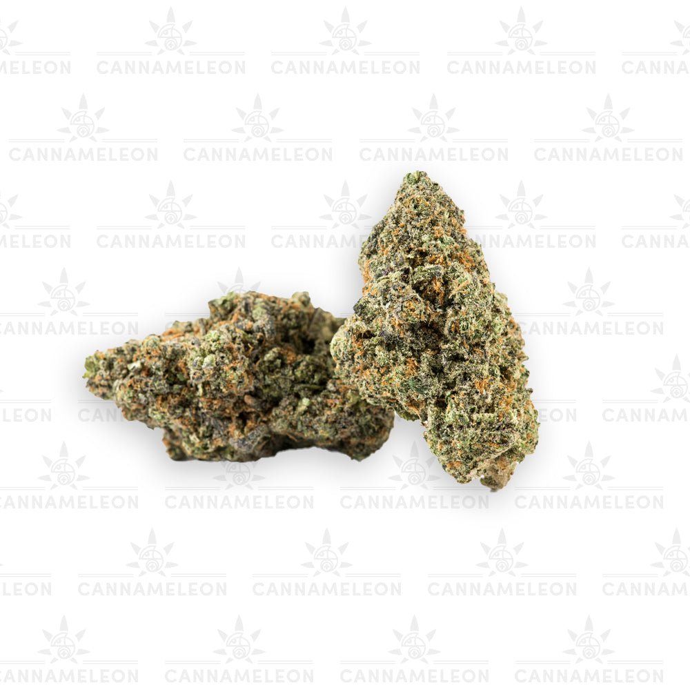 ICE Cream Cake CB9 - Cannameleon GmbH