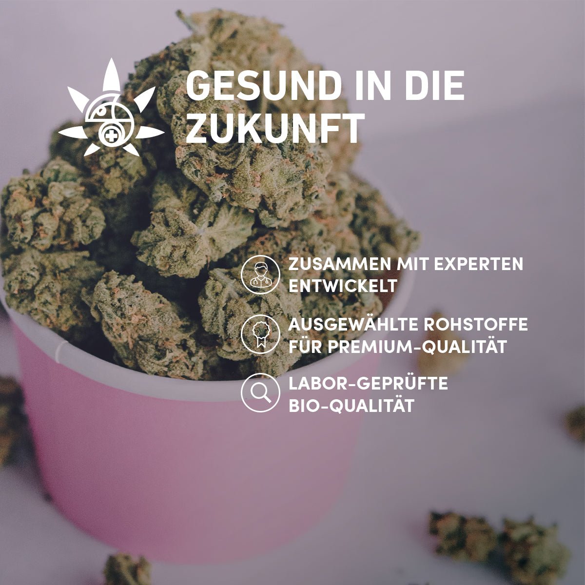 ICE Cream Cake CB9 - Cannameleon GmbH