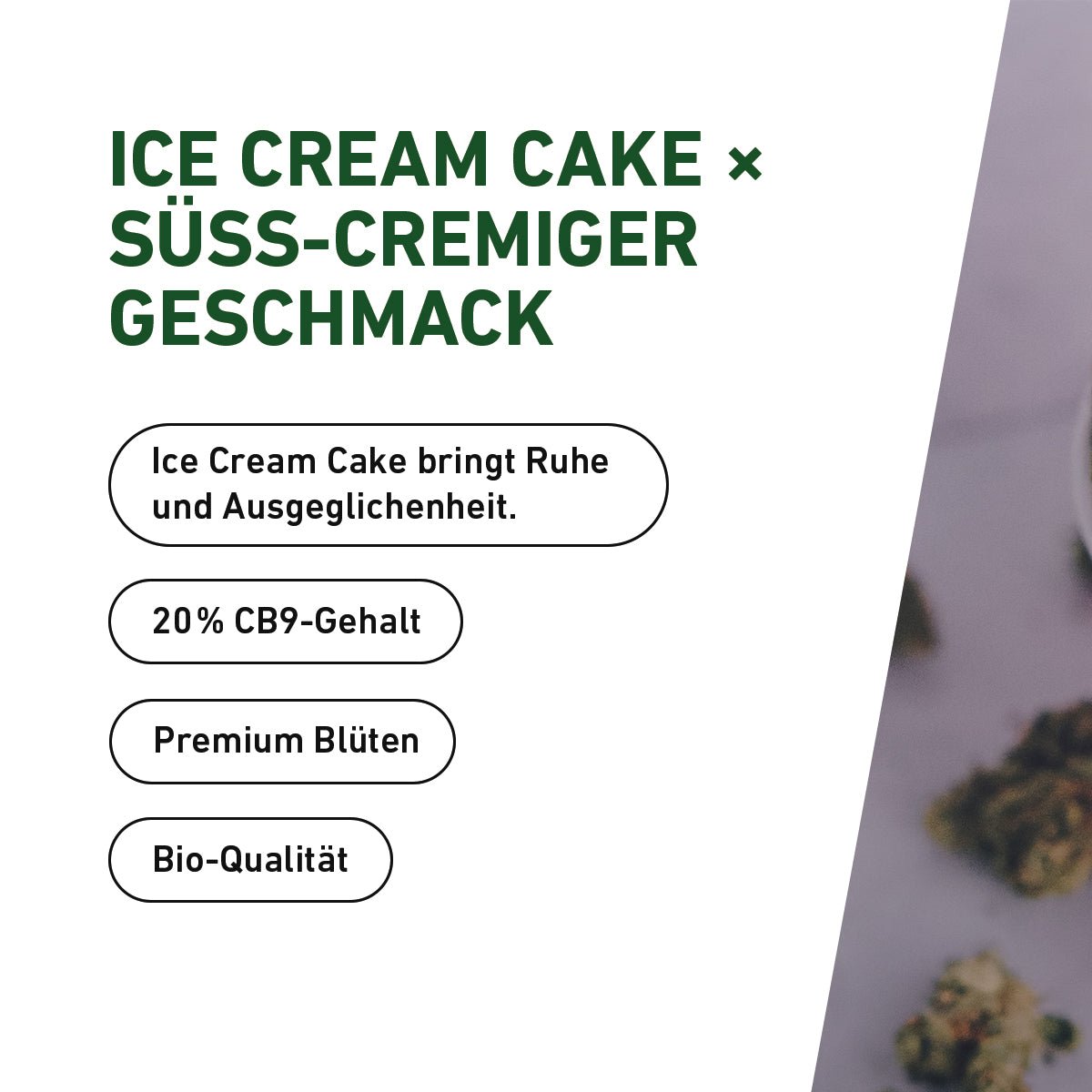 ICE Cream Cake CB9 - Cannameleon GmbH