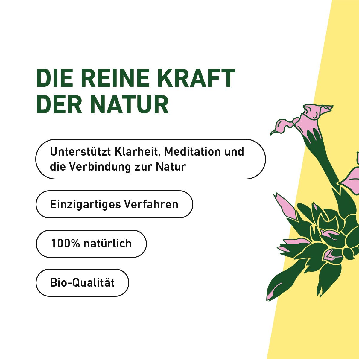 Naturtabak – Räucherwerk aus reiner Natur - Cannameleon GmbH
