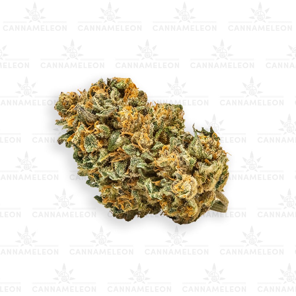 Orangello CBD - Cannameleon GmbH