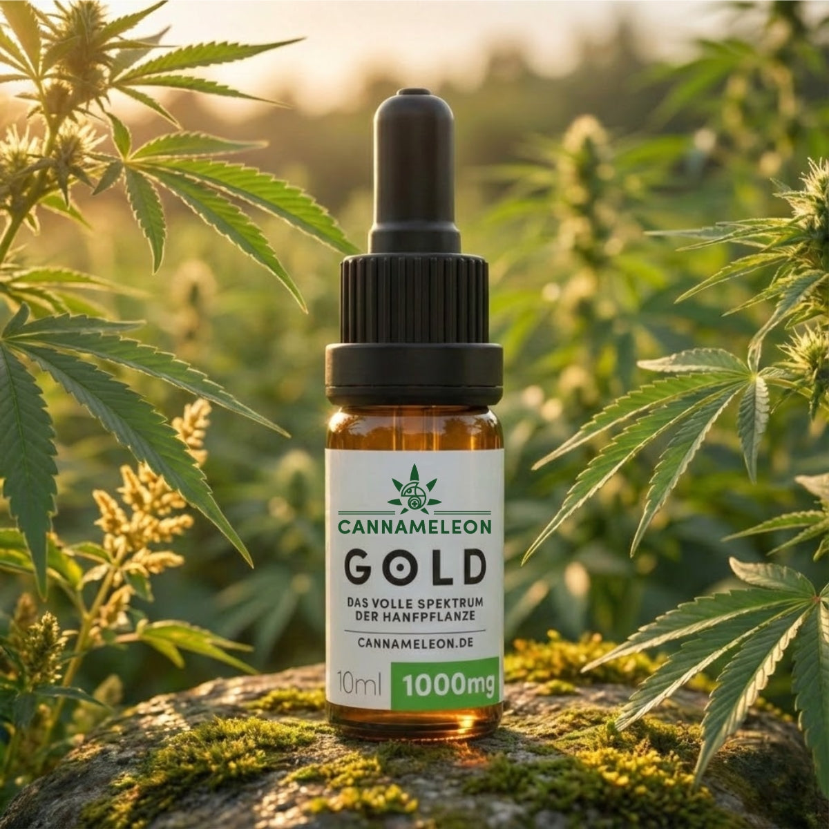 Gold CBD Öl 10% Vollspektrum