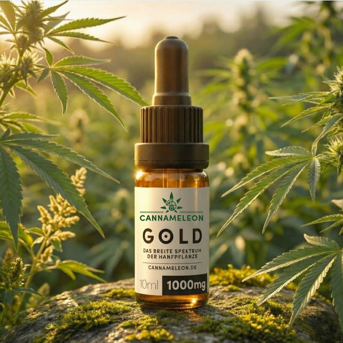 THC Free CBD Öl - 10%