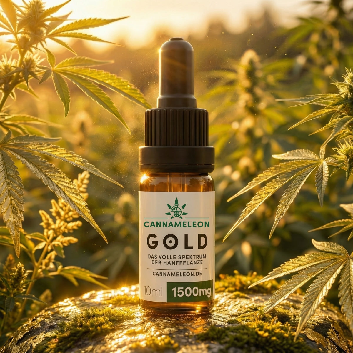 Gold CBD Öl 15% Vollspektrum
