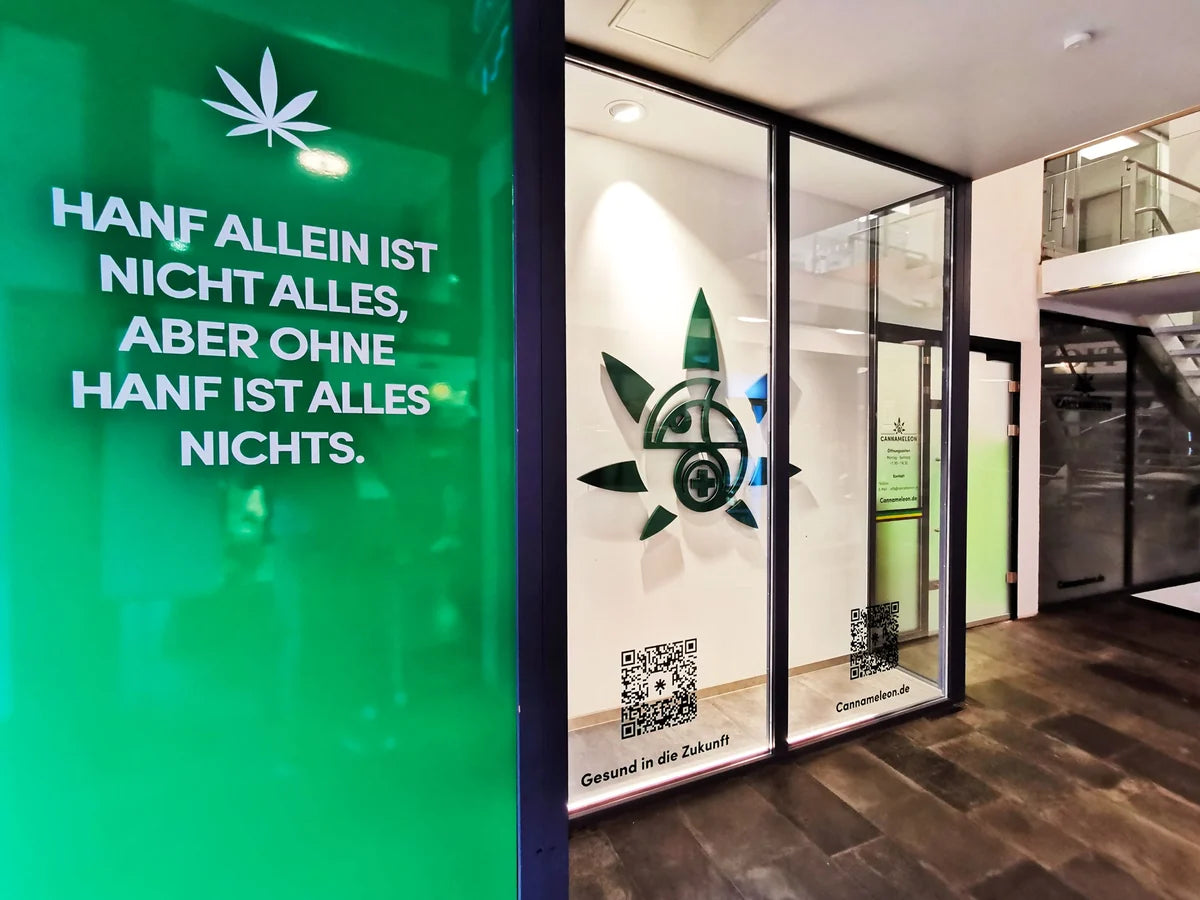 Schaufenster eines Cannameleon Shops