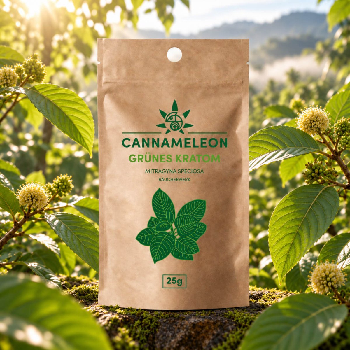 CM - Grünes Kratom 25g - Cannasolution GmbH