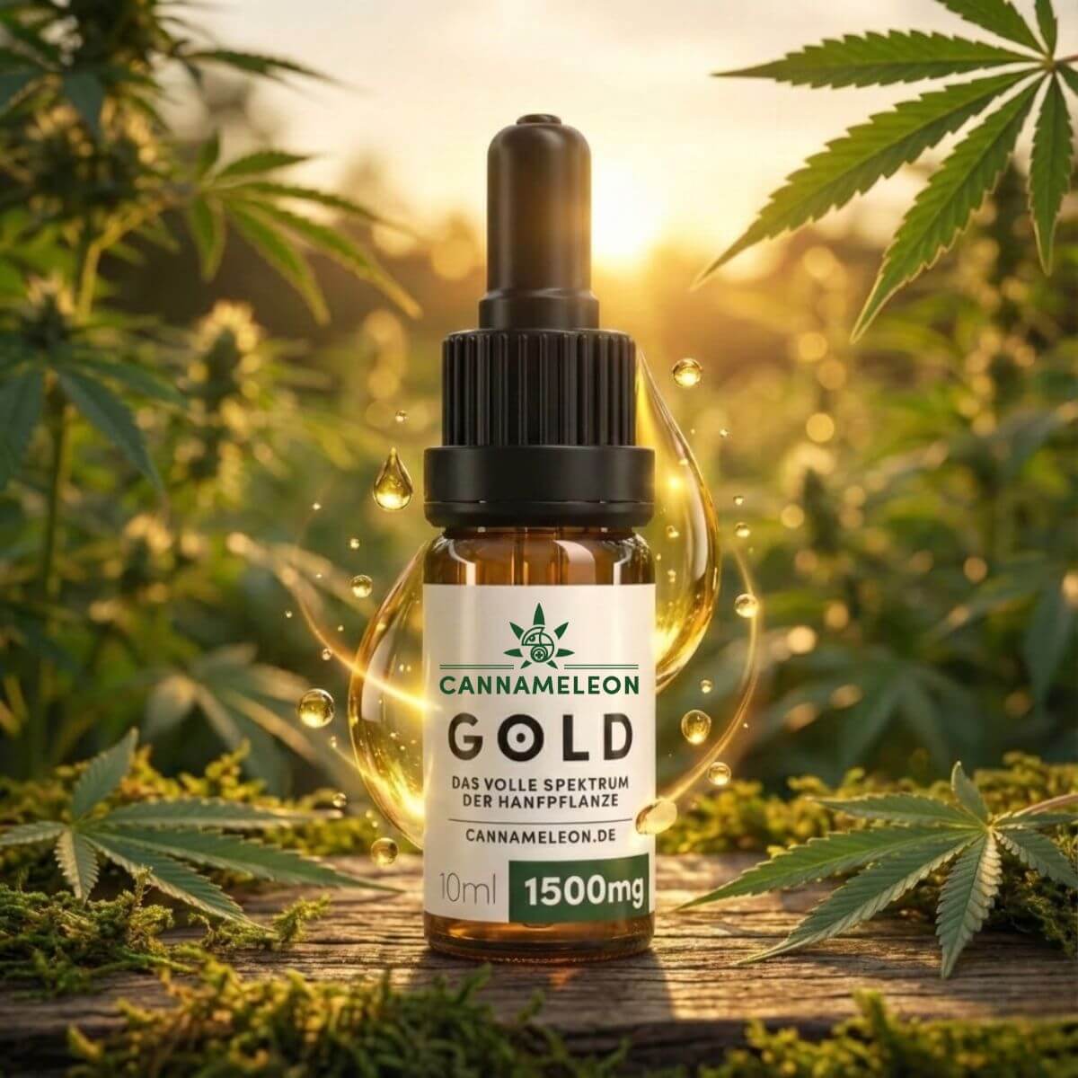 Gold CBD Öl 15% Vollspektrum - Cannameleon GmbH