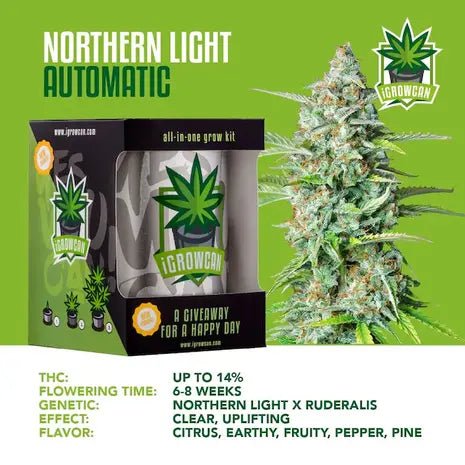 iGrowCan Automatic - Northern Light - Cannameleon GmbH