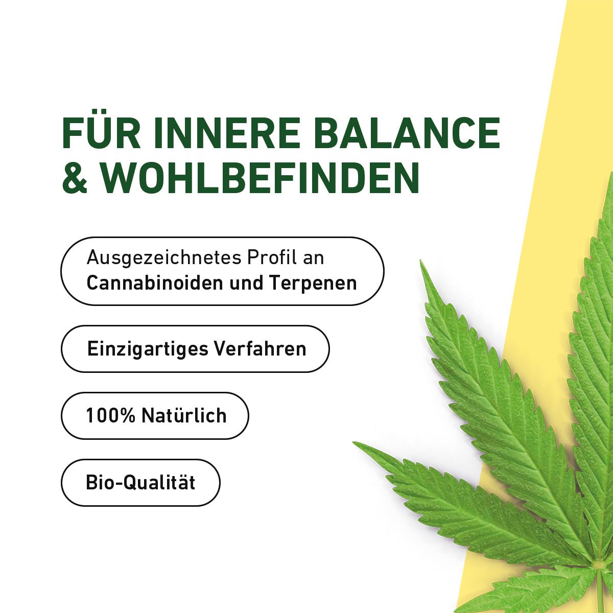 Mochi 20% CBN Räucherwerk - Cannasolution GmbH
